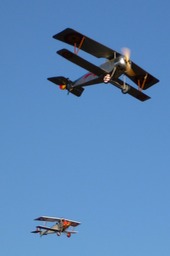 P1050981